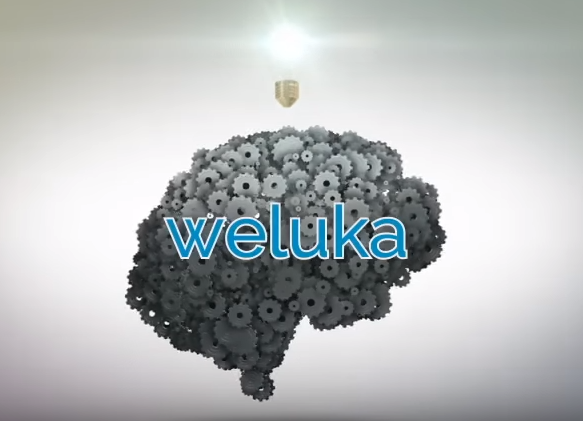 Weluka　直感的にWPを操作する初心者向けシステムテーマ
