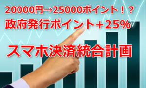 政府発行ポイント　マイナンバーカード