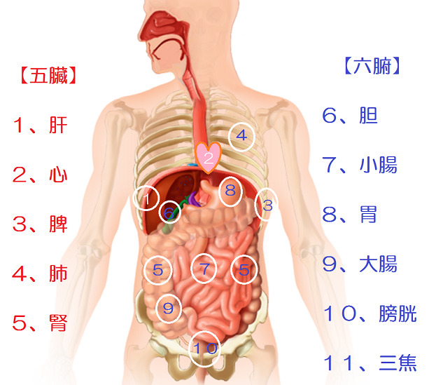 ごぞろっぷ