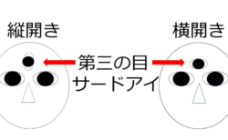 第三の目