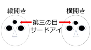 第三の目