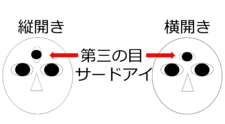 第三の目