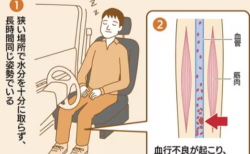 エコノミー