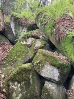 空海の霊場物語3　石棺と接間と折檻