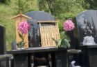 月命日の花 死生観が変わる夢　神ではなく加味（和足し）