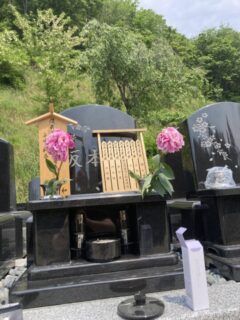 月命日の花 死生観が変わる夢　神ではなく加味（和足し）