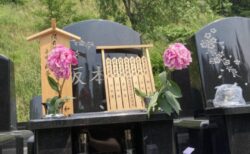 月命日の花 死生観が変わる夢　神ではなく加味（和足し）