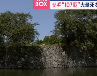 電磁波