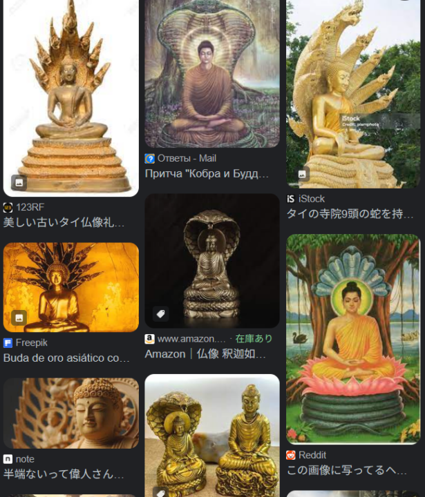 もっと(欲望)とmotto(信念)　余分な地から余分な力