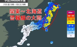 蚊の報せ 毒素を排出する自然治癒を利用した美容法？