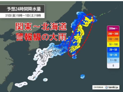 蚊の報せ 毒素を排出する自然治癒を利用した美容法？