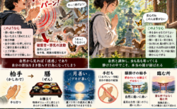 柏手